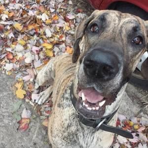 Meet your Posher, Katelyn