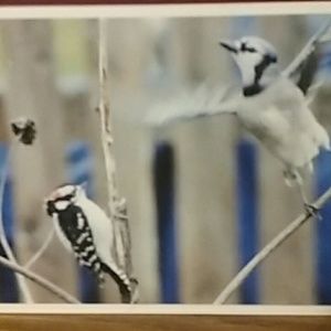 Meet your Posher, Tasha