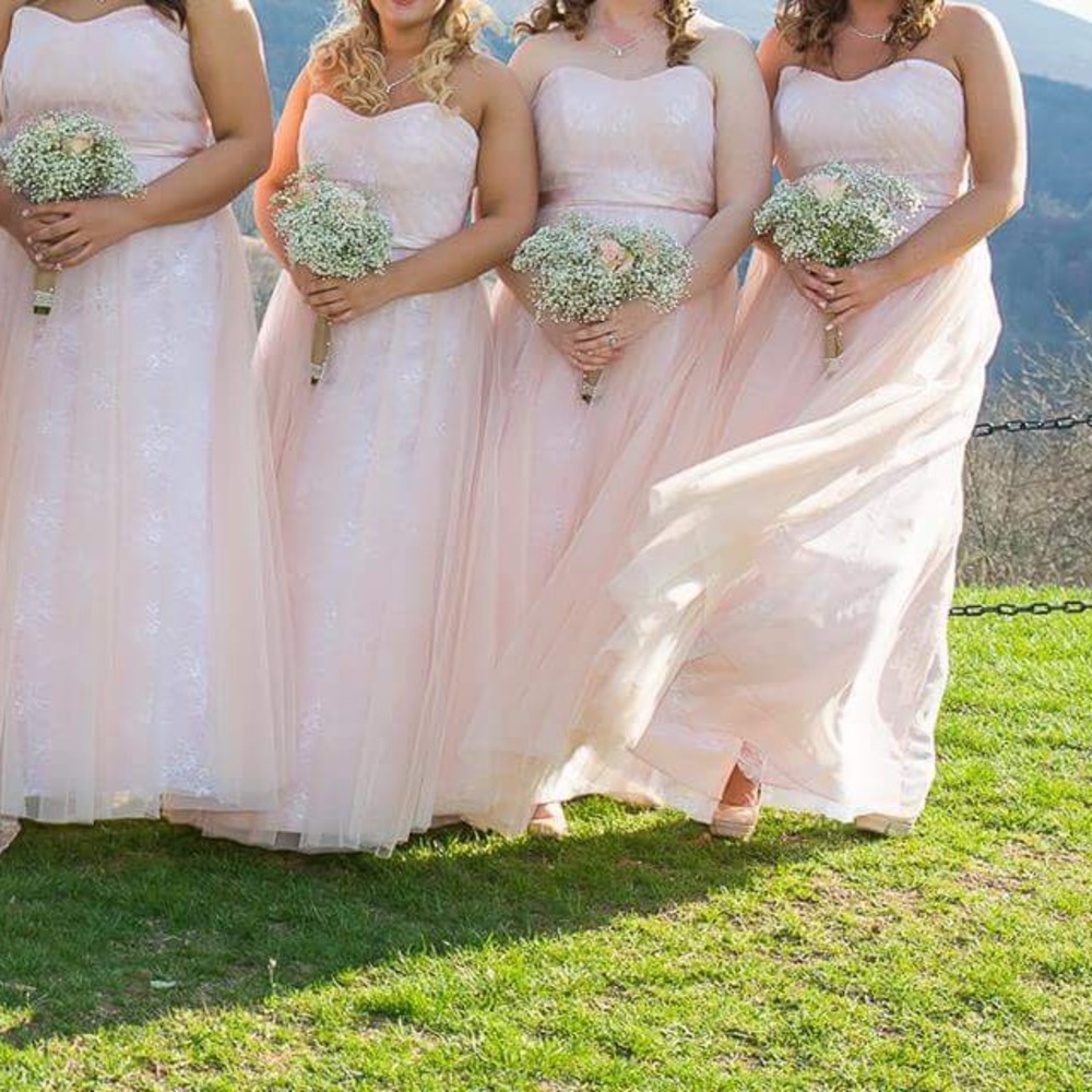 NWT Blush Sorella Vita Bridesmaid/Prom dress