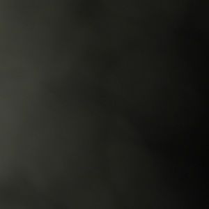 Meet your Posher, Carissa