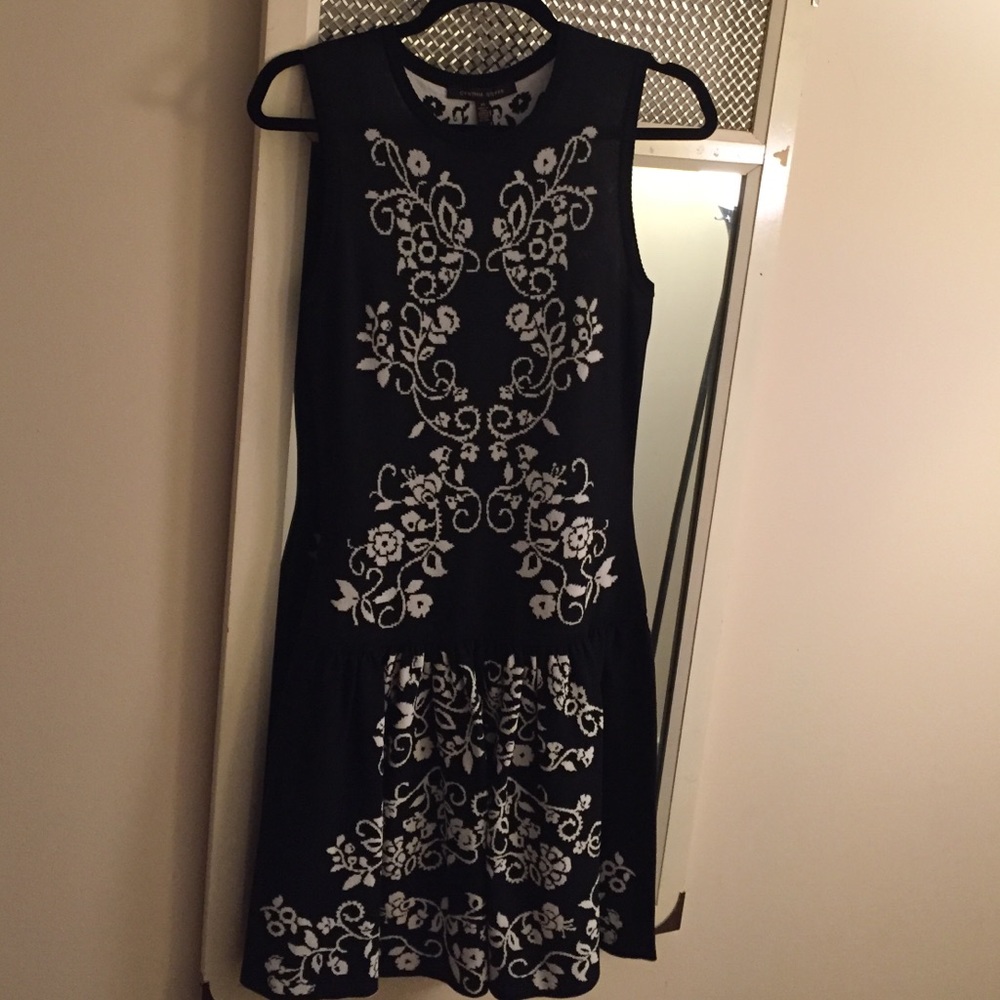 Cynthia Steefe dress