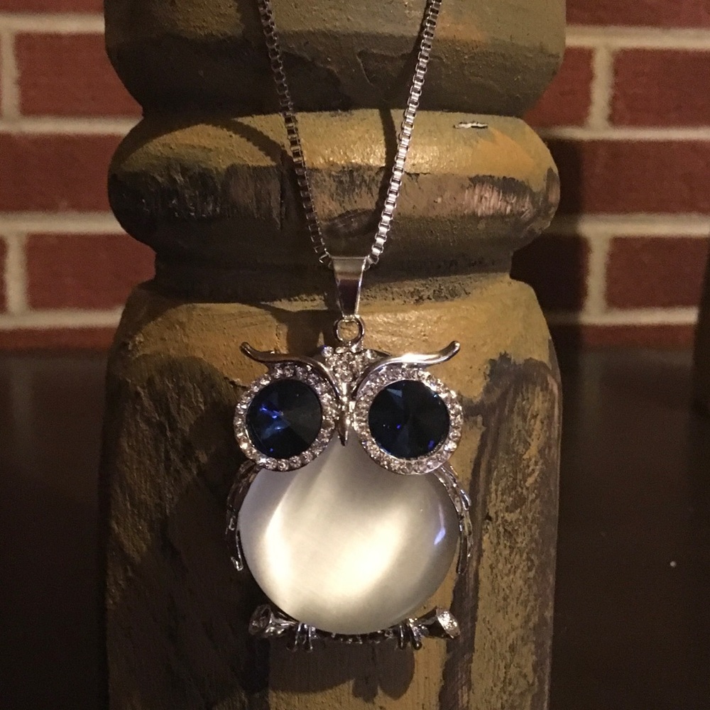 🌺Beautiful silver Owl Necklace