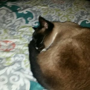 Meet your Posher, Elicia