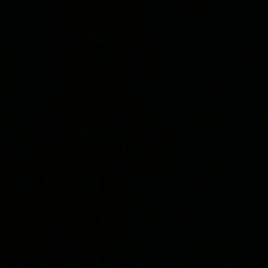 Meet your Posher, Kenji