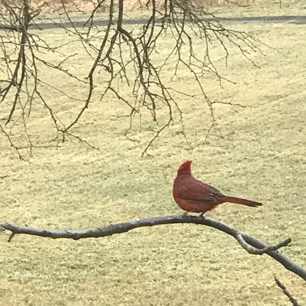 Meet your Posher, Meg