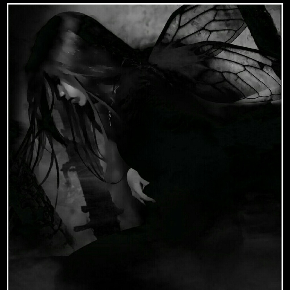 Meet your Posher, Lexi