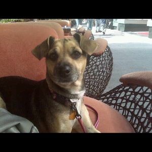 Meet your Posher, Carla