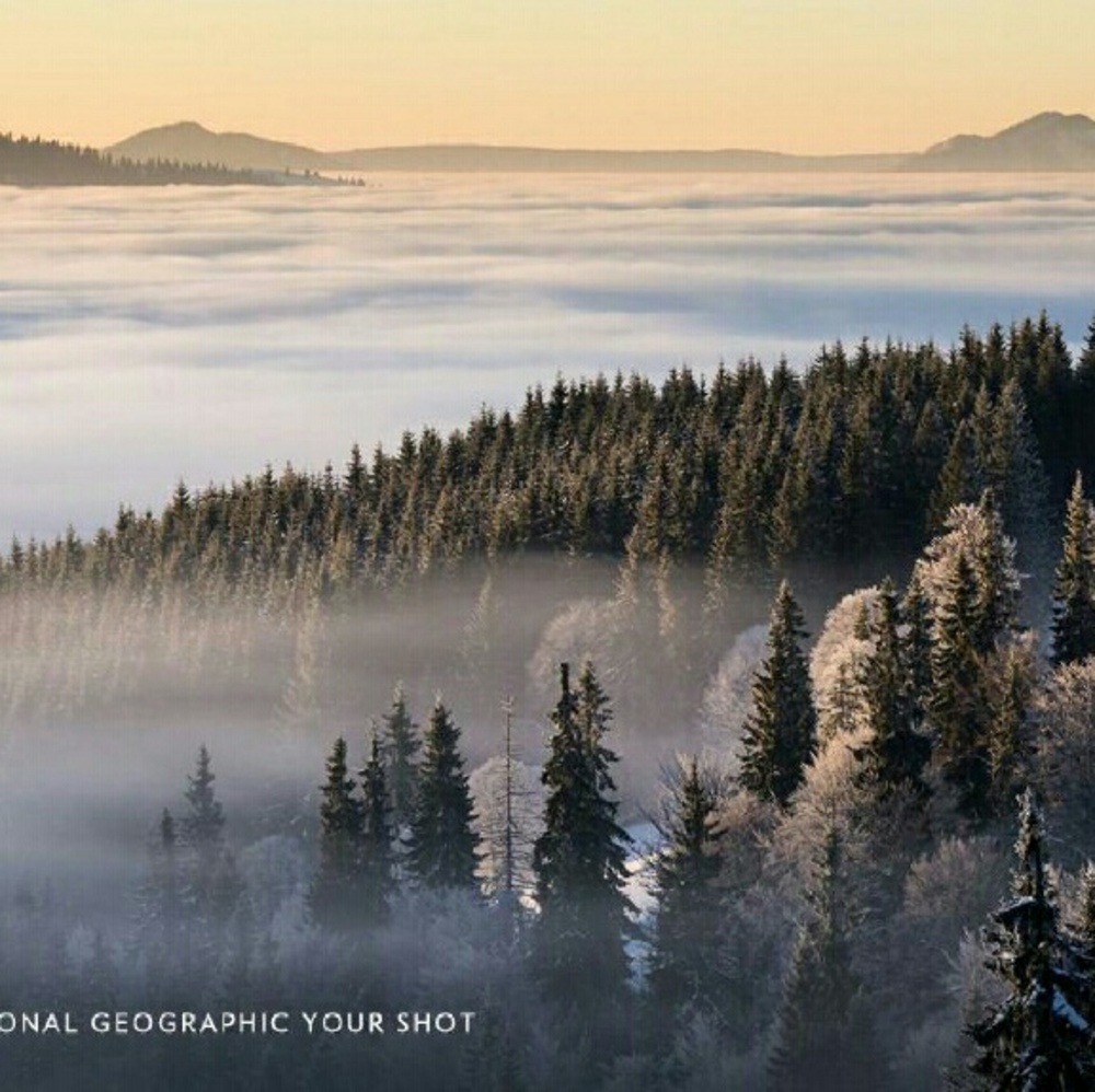 Meet your Posher, Linda