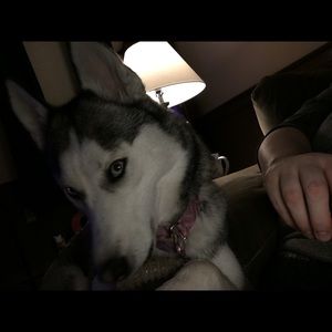 Meet your Posher, Carleen