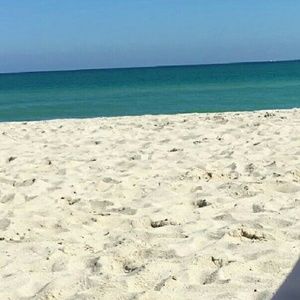 Meet your Posher, Shalhevetya