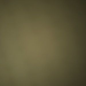 Meet your Posher, Cierra