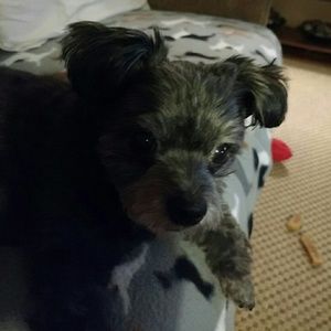 Meet your Posher, Rita