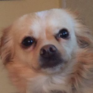 Meet your Posher, Juliene