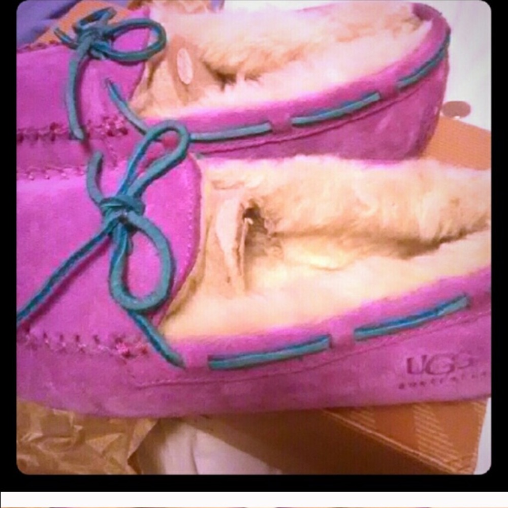 Purple ugg slippers
