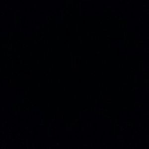 Meet your Posher, Martha