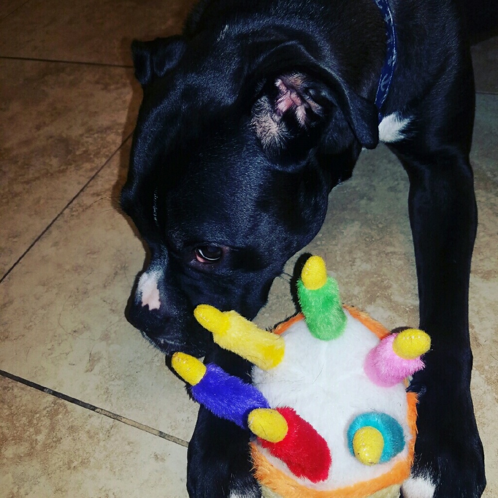 Meet your Posher, Jen