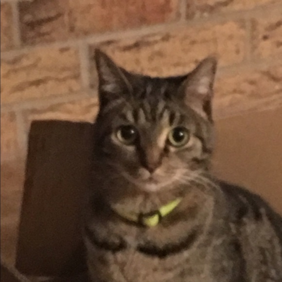 Meet your Posher, Patricia - Picture 2 of 6