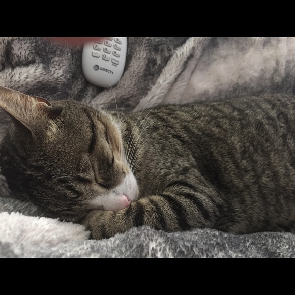 Meet your Posher, Patricia - Picture 4 of 6