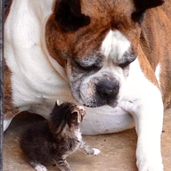 Meet your Posher, Patricia - Picture 5 of 6