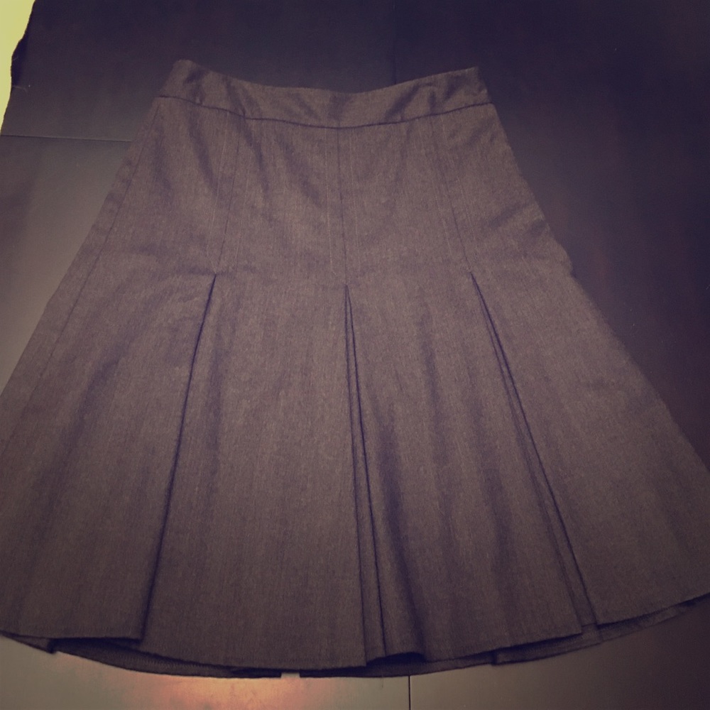 Ann Taylor Loft Skirt