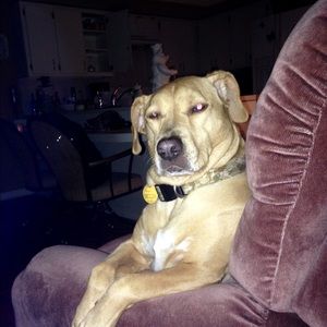 Meet your Posher, Jack