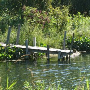 Meet your Posher, Bj