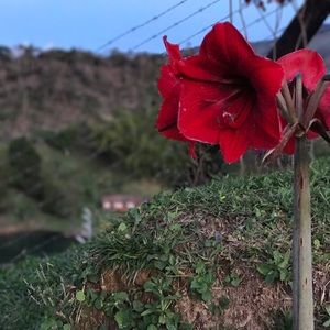 Meet your Posher, Paulina