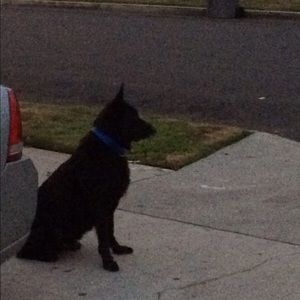 Meet your Posher, Alex