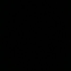 Meet your Posher, Pedro