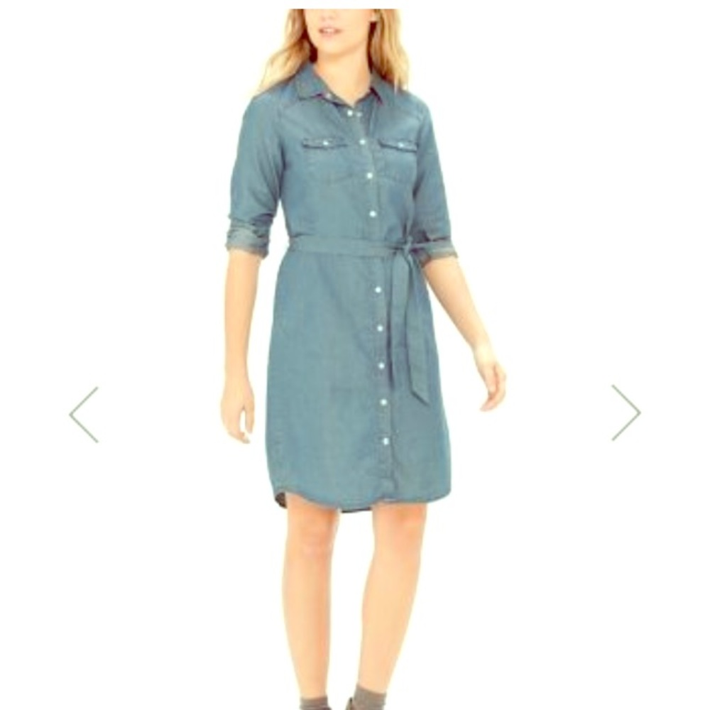 Long Sleeve Jean Dress