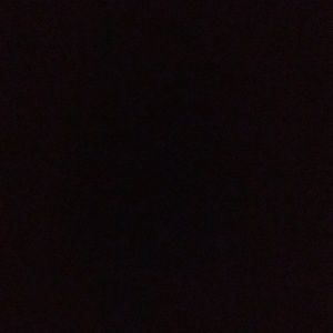 Meet your Posher, Annie