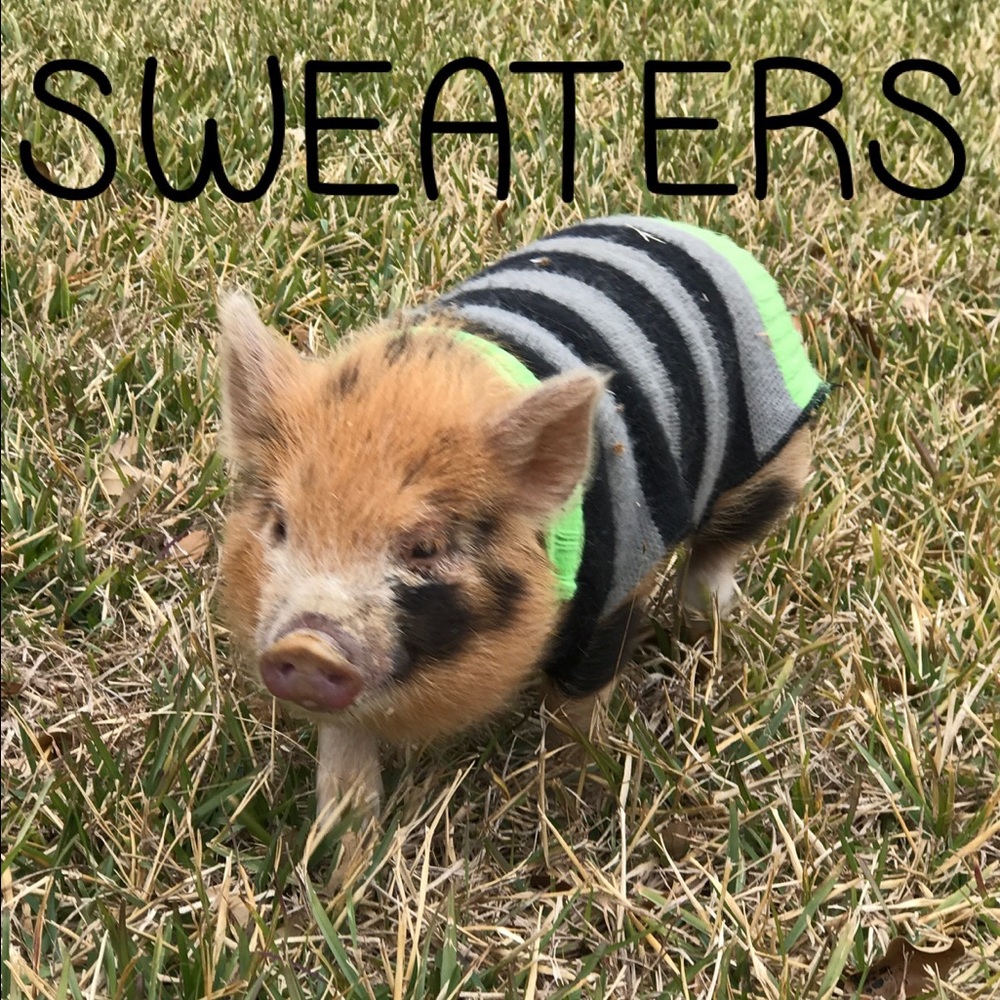 Sweater section