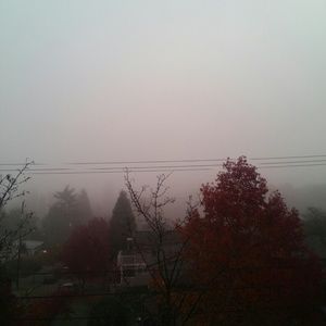 Meet your Posher, Rosemary