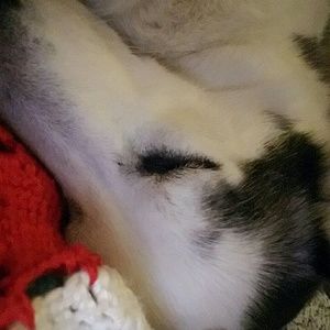 Meet your Posher, Paige