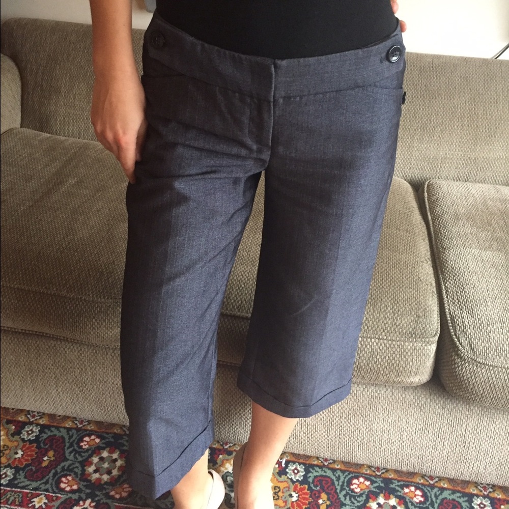 Capri dress pants
