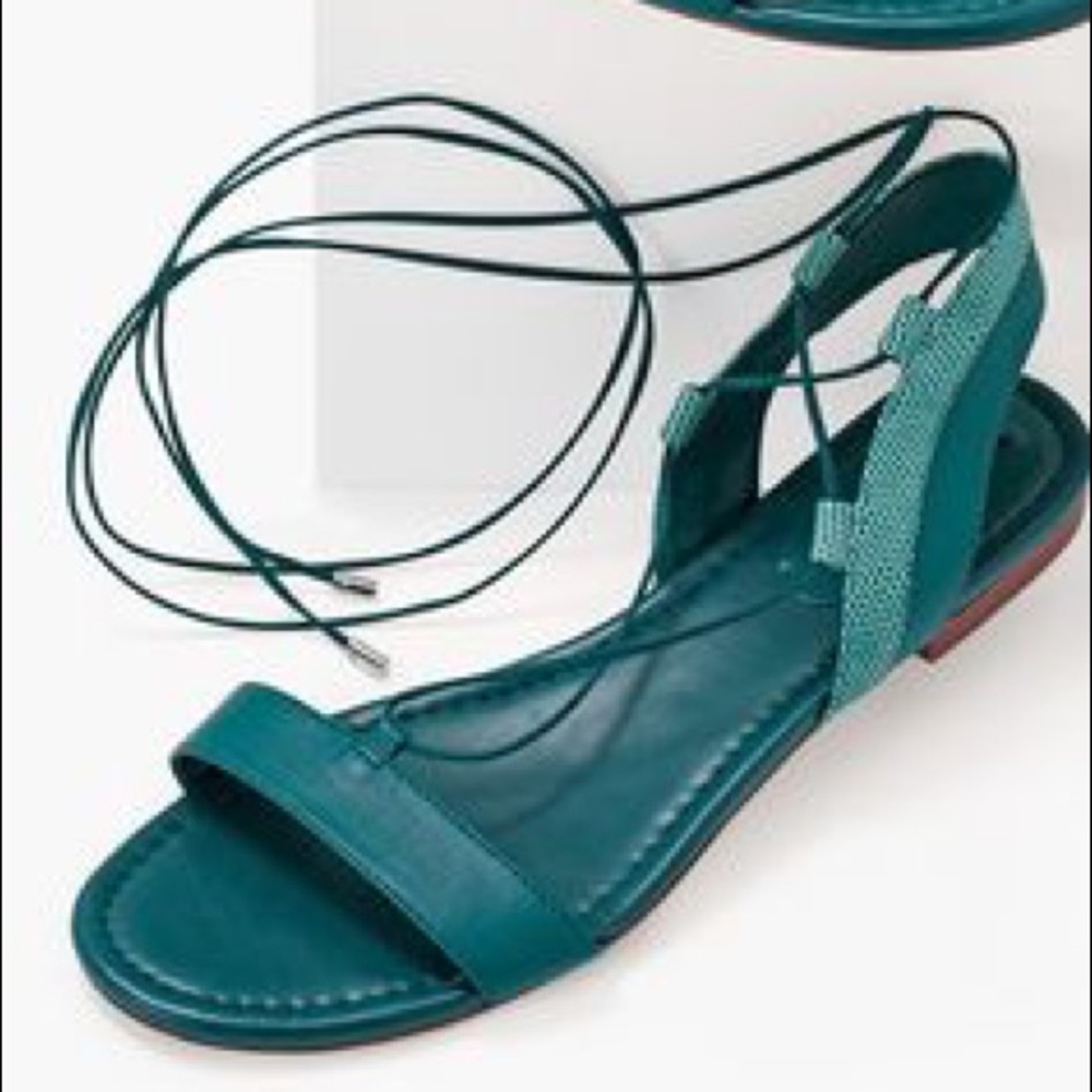Leather sandals, brand new, never worn.