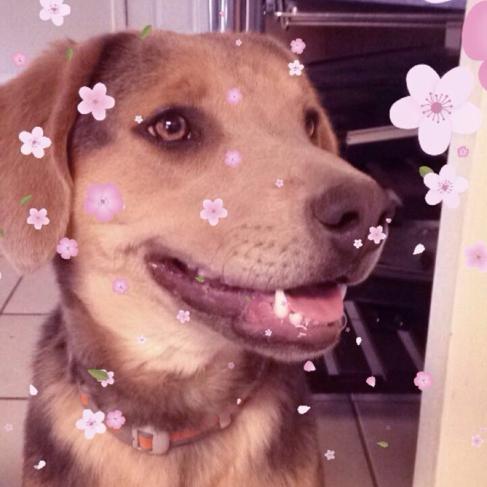 Meet your Posher, Cienna