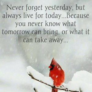 Meet your Posher, Sandra