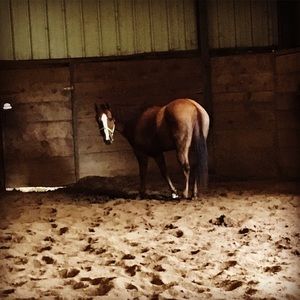 Meet your Posher, Jonnie