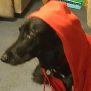 Meet your Posher, Colin