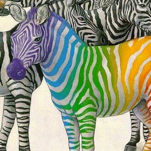 Meet your Posher, Agnes