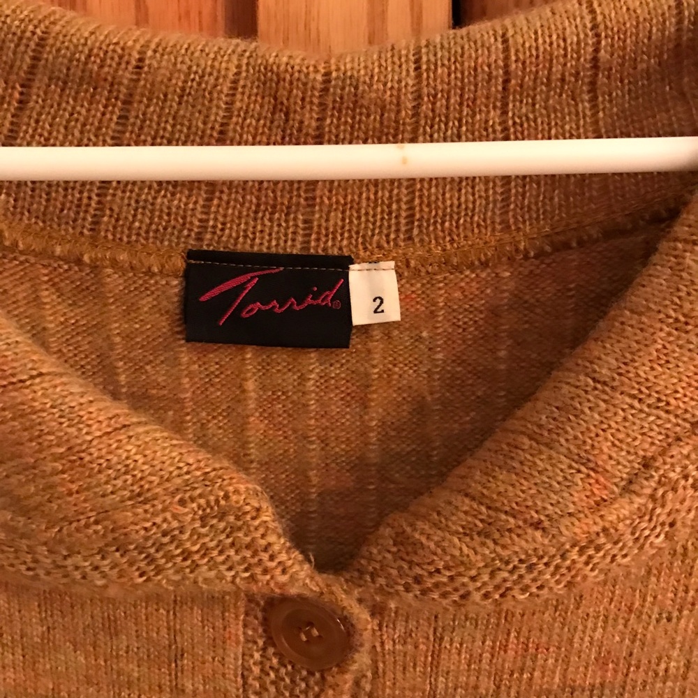 Torrid Sweater