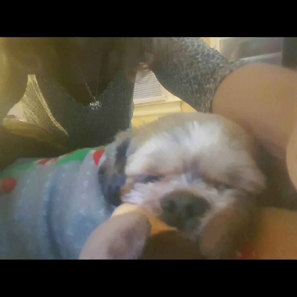 Meet your Posher, Charlene