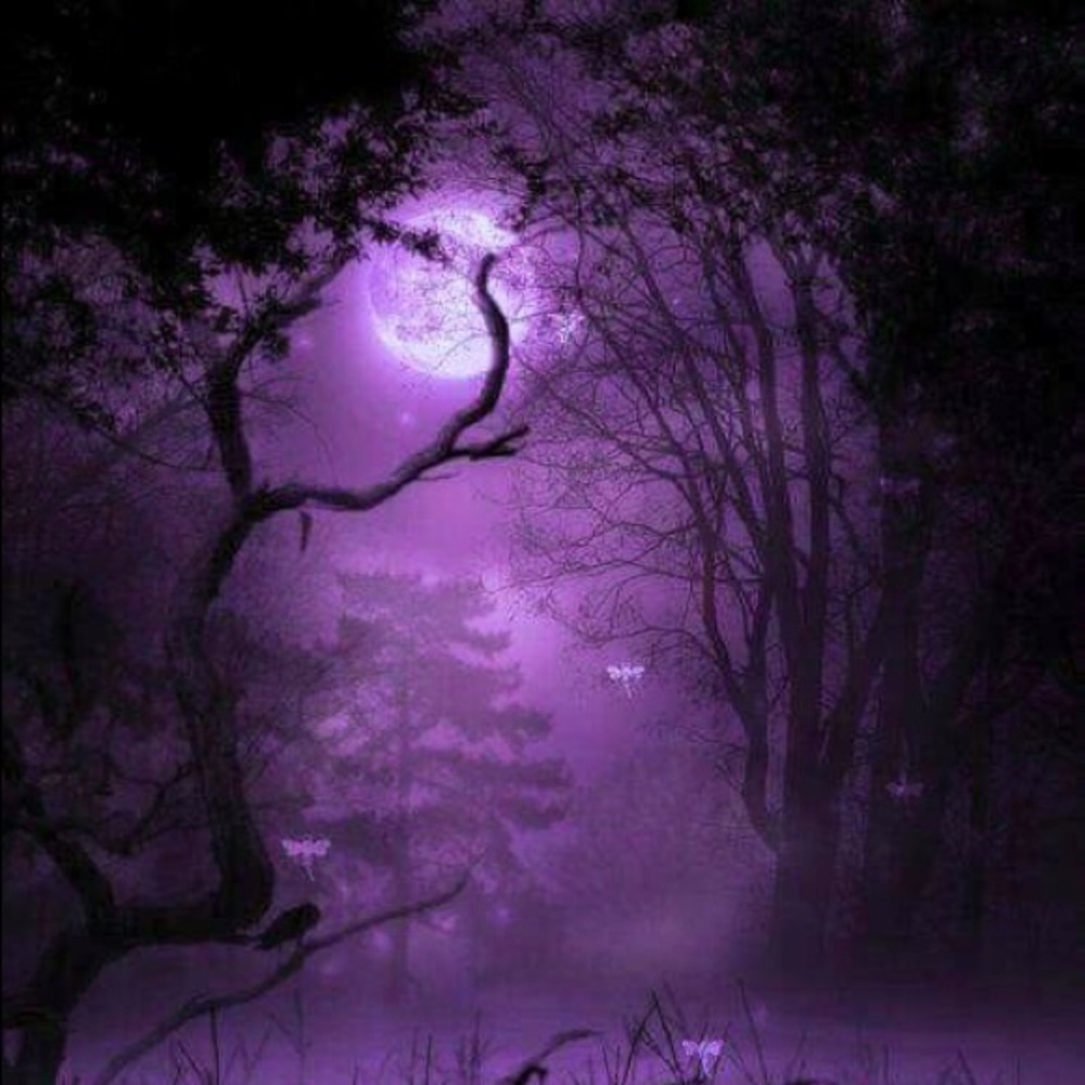 Meet your Posher, Dawn