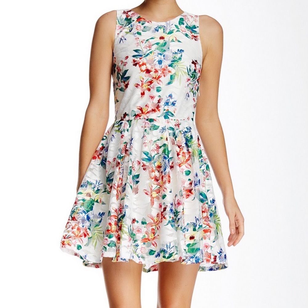 Love...Ady Sleeveless Lace Fit & Flare Dress - Picture 1 of 4