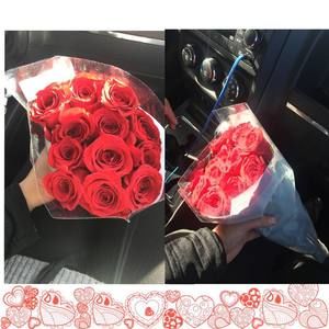 Meet your Posher, Sun