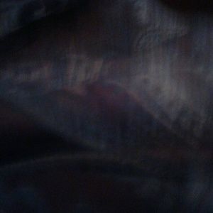 Meet your Posher, Ann