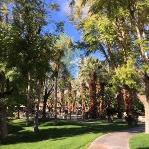 Meet your Posher, Tana