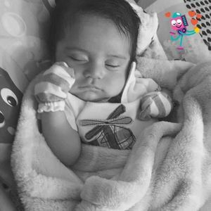 Meet your Posher, Ingrid