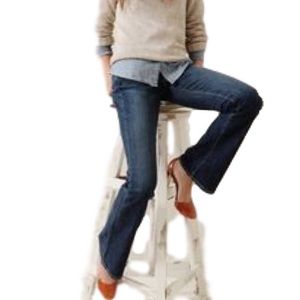 AG Adriano Goldschmied The Cupid Jeans